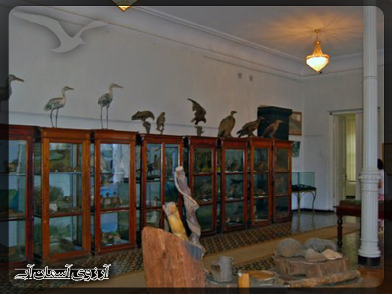 موزه دولتی خاریتون اخولدیانی باتومی